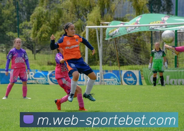 易倍体育APP 高清赛事图